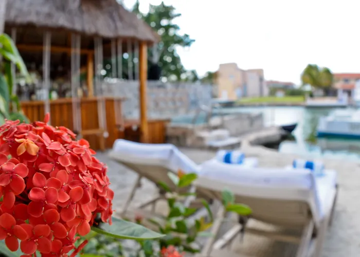 Chez Waffle Hotel Puerto Aventuras