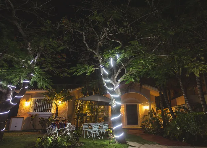Chez Waffle Hotel Puerto Aventuras